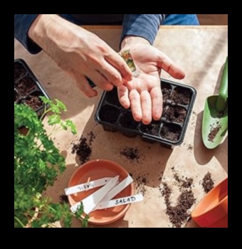 Pintes izmēra dārzi: iekštelpu dārzkopības brīnumu atklāšana