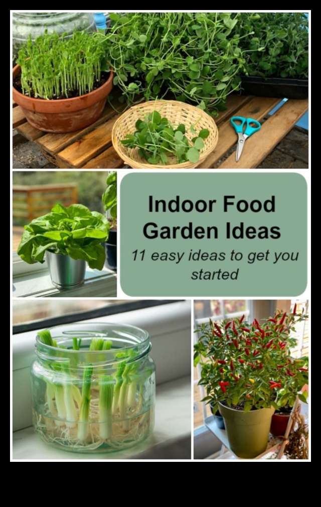 Pintes izmēra dārzi: iekštelpu dārzkopības brīnumu atklāšana