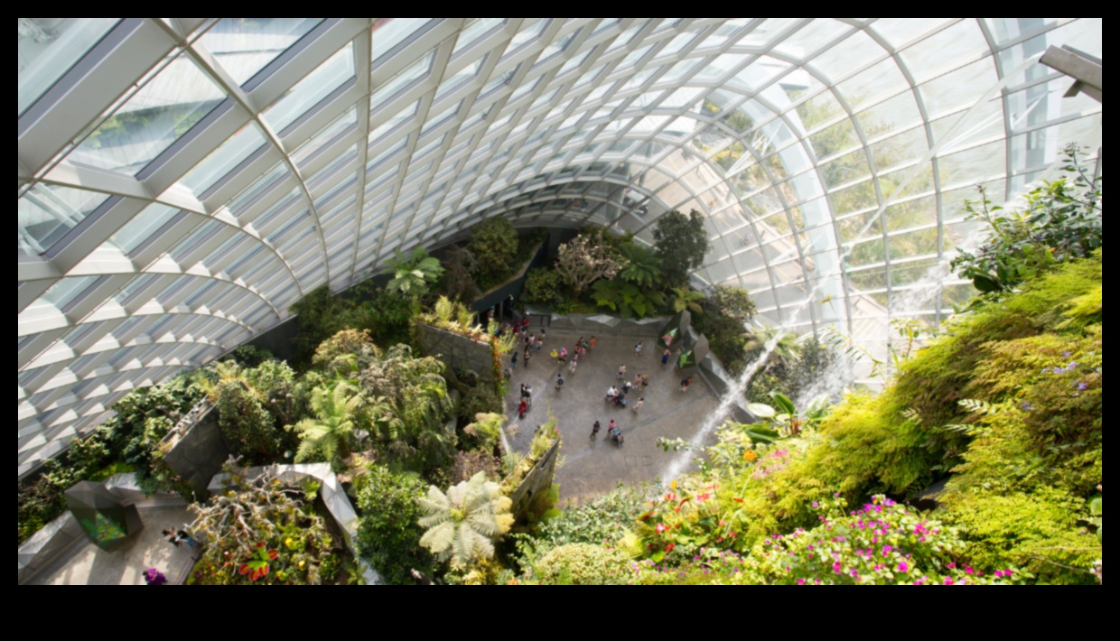 Ziedu fantāzija: ienirstiet mūsu siltumnīcas burvībā