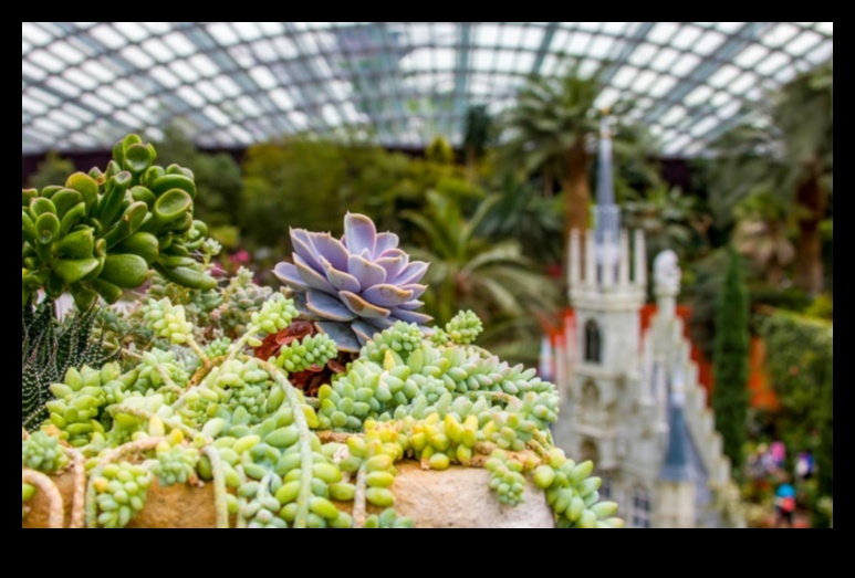 Ziedu fantāzija: ienirstiet mūsu siltumnīcas burvībā