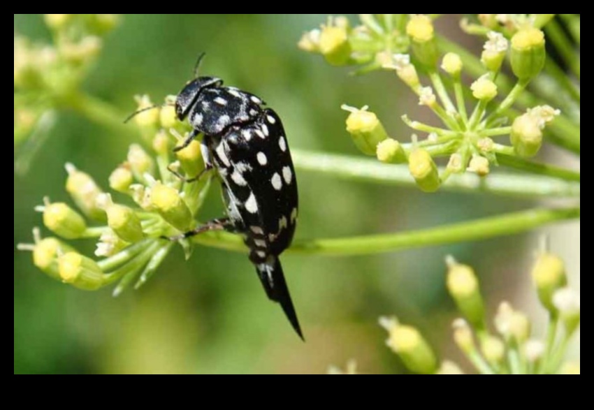 No kaitēkļiem brīva utopija: sargājiet savu zaļo oāzi
