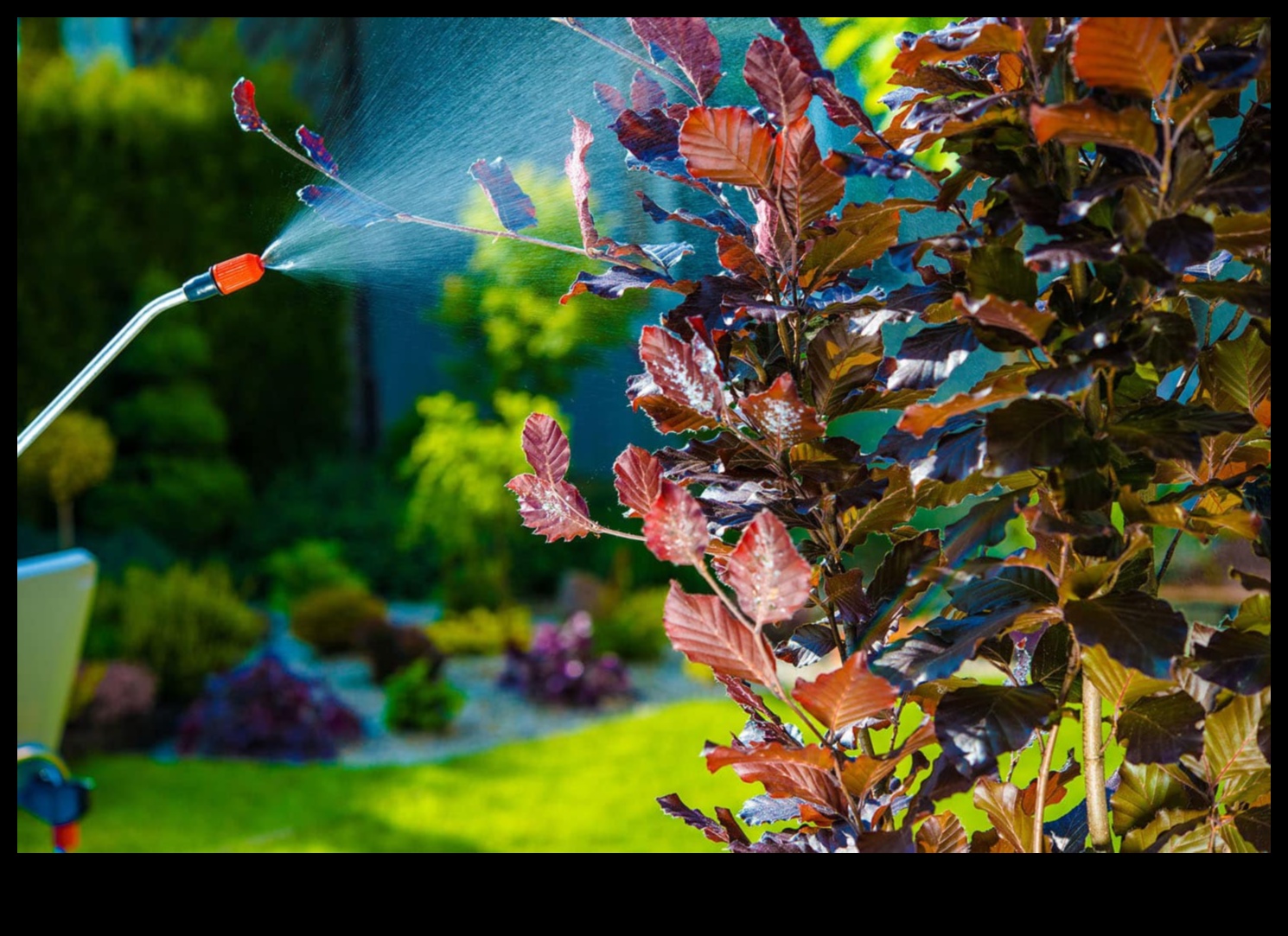 No kaitēkļiem brīva utopija: sargājiet savu zaļo oāzi