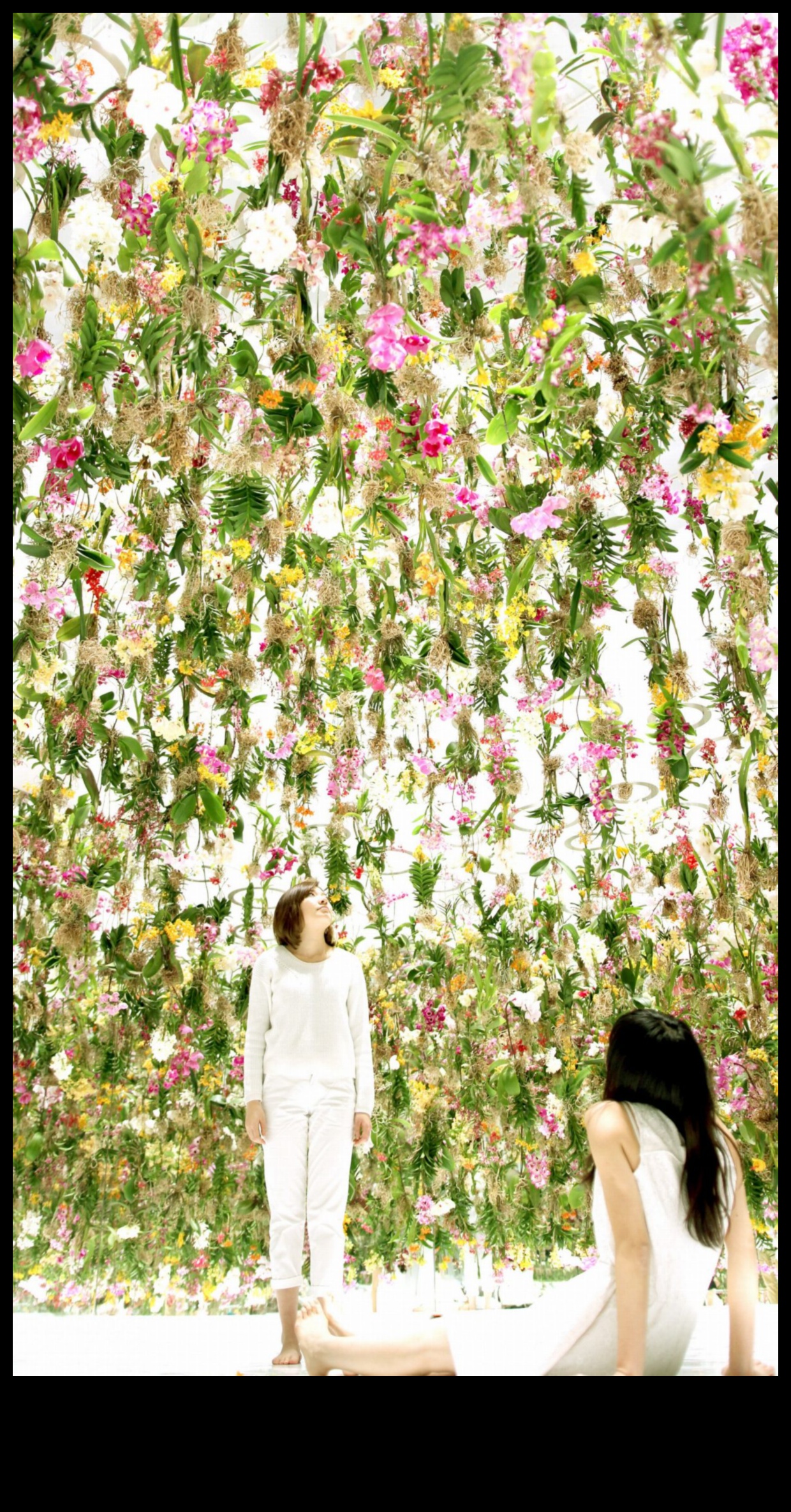 Radošās telpas: aizdedzes inovācijas arhitektūras izpētē