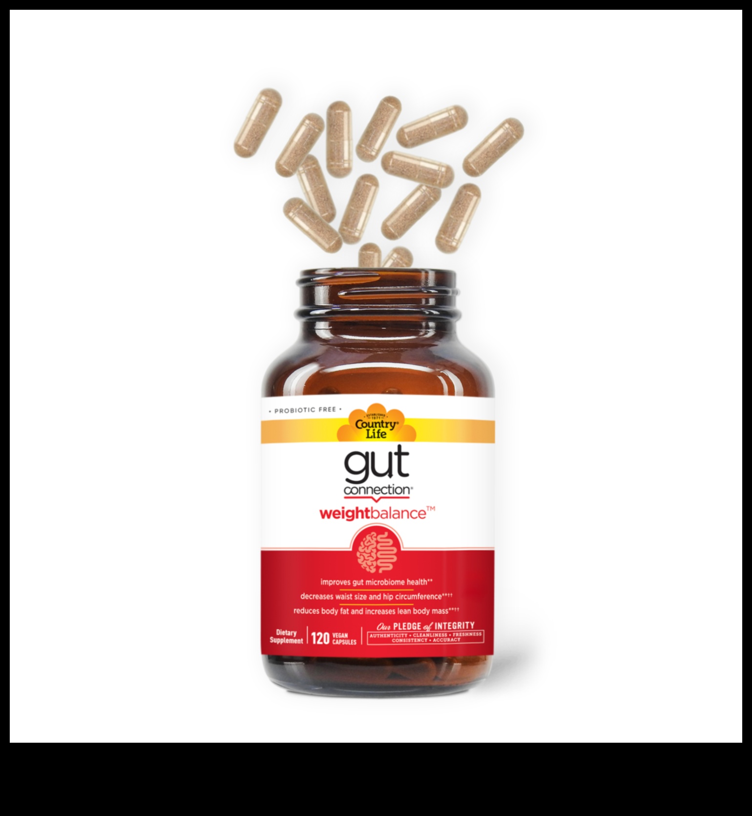 Zarnu veselības ietekme uz svara pieauguma diētām