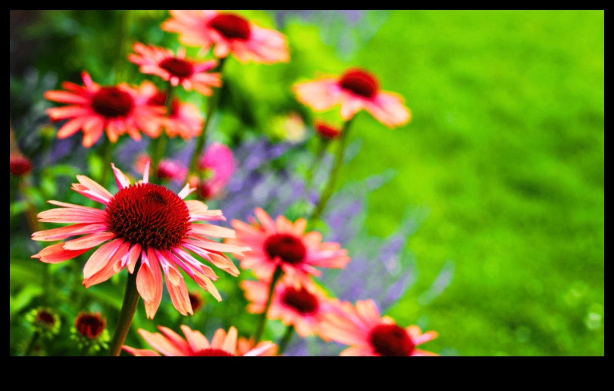 Ziedlapiņas un progress: pārvietošanās pa sezonām, veicot dārza kopšanu