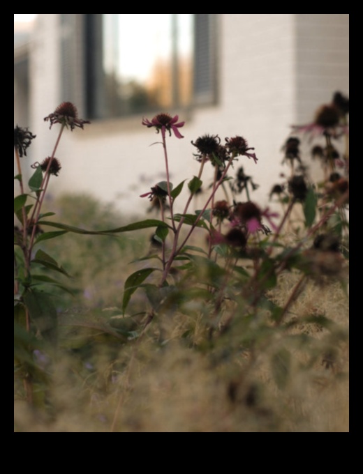 Ziedlapiņas un progress: pārvietošanās pa sezonām, veicot dārza kopšanu