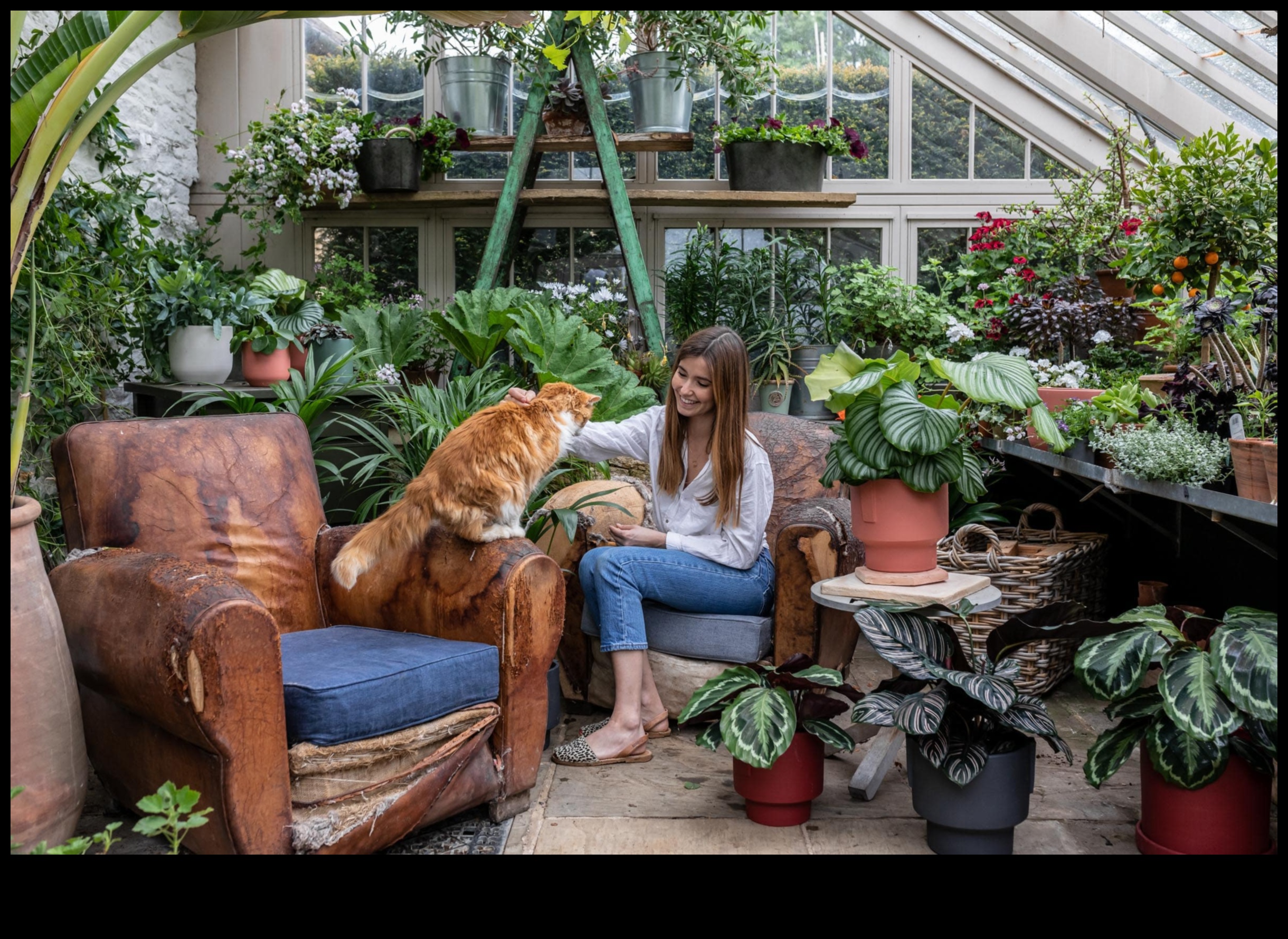 Zaļa dzīve iekšā: kopjiet savu māju ar dārzkopību