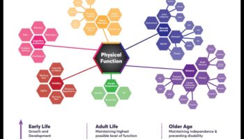 Ageless Agility: saglabājiet elastību un mobilitāti, veicot vingrinājumus