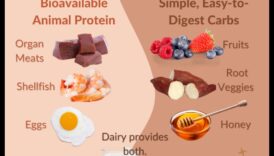 Diētas ar augstu olbaltumvielu saturu un vairogdziedzera veselība: mītu kliedēšana