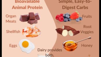 Diētas ar augstu olbaltumvielu saturu un vairogdziedzera veselība: mītu kliedēšana