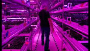 Infinite Harvest: Greenhouse Bounty Beckons