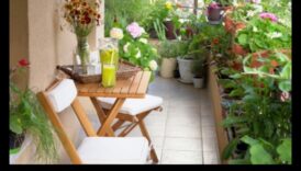 Green Haven: Rāmuma veidošana ar vertikālu dārzkopību