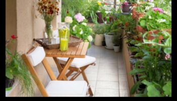 Green Haven: Rāmuma veidošana ar vertikālu dārzkopību