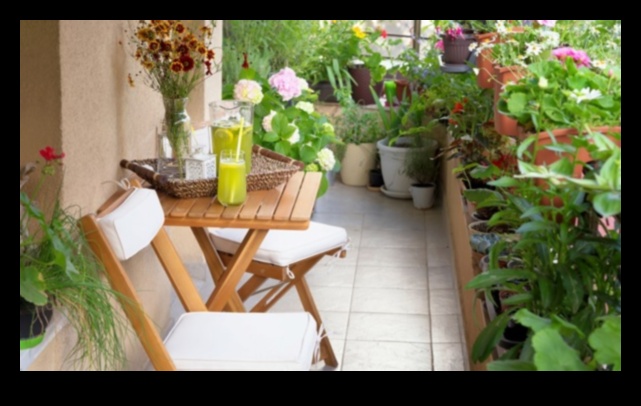 Green Haven: Rāmuma veidošana ar vertikālu dārzkopību