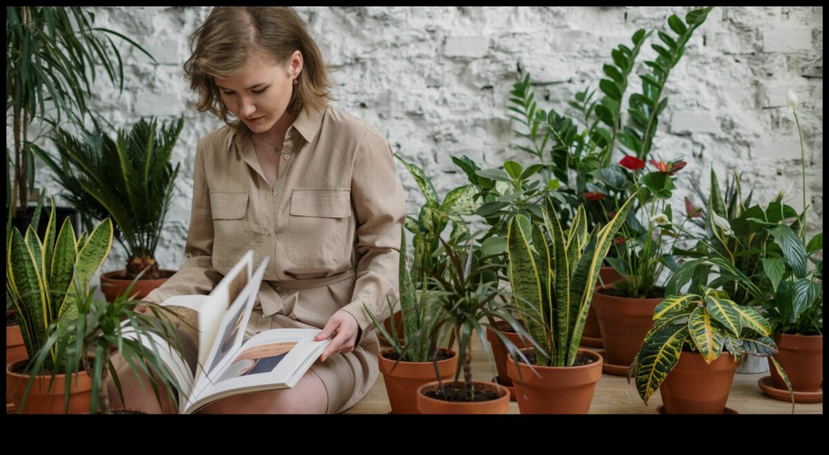 Zaļā oāze: Atklājiet mieru dārza darbnīcās