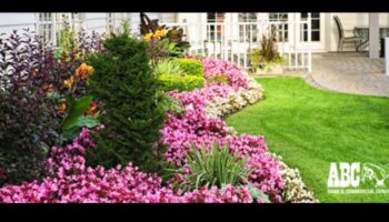 No kaitēkļiem brīva utopija: sargājiet savu zaļo oāzi