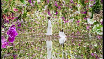 Radošās telpas: aizdedzes inovācijas arhitektūras izpētē