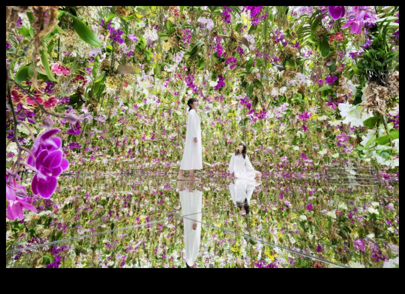 Radošās telpas: aizdedzes inovācijas arhitektūras izpētē