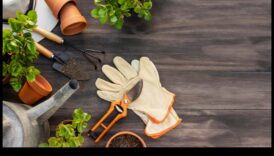 Sivēnmātes panākumi: svarīgi dārza instrumenti ikvienam audzētājam