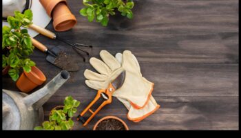 Sivēnmātes panākumi: svarīgi dārza instrumenti ikvienam audzētājam