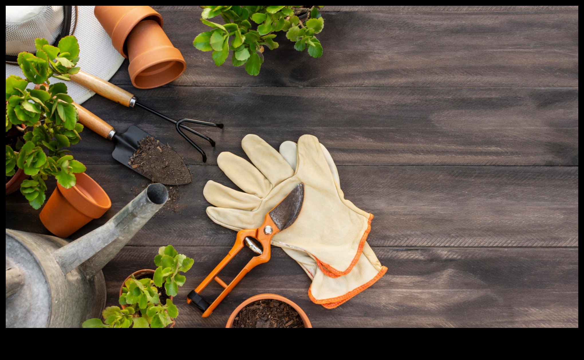 Sivēnmātes panākumi: svarīgi dārza instrumenti ikvienam audzētājam